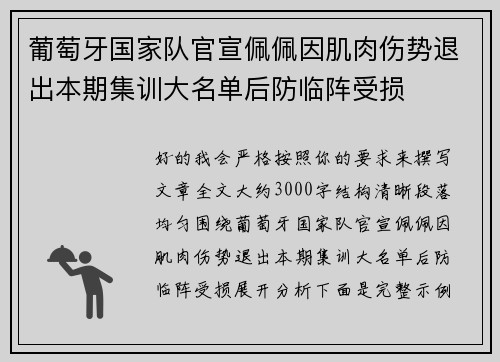 葡萄牙国家队官宣佩佩因肌肉伤势退出本期集训大名单后防临阵受损